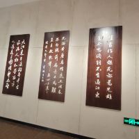 評論圖片 2
