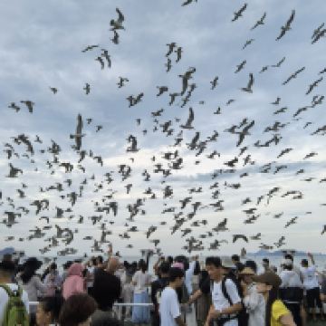 評論圖片 6