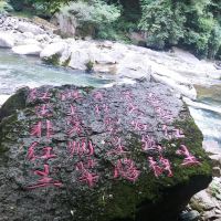評論圖片 9