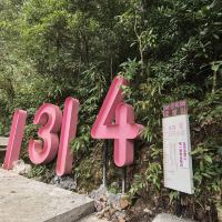 評論圖片 2