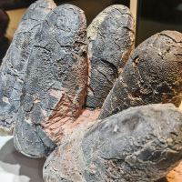 評論圖片 5