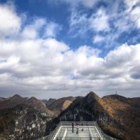 評論圖片 5
