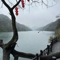 評論圖片 5