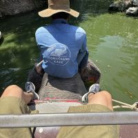 評論圖片 1