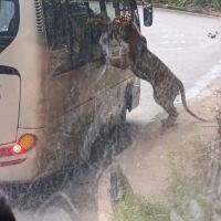 評論圖片 5