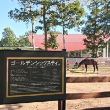 評論圖片 1
