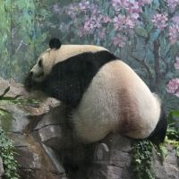評論圖片 3
