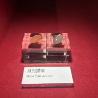 評論圖片 8