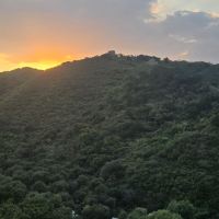 評論圖片 9