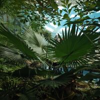評論圖片 4