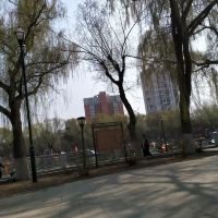 評論圖片 1