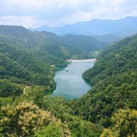 評論圖片 1