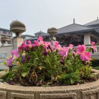 評論圖片 4
