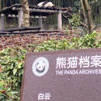 評論圖片 1