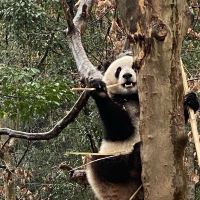 評論圖片 4