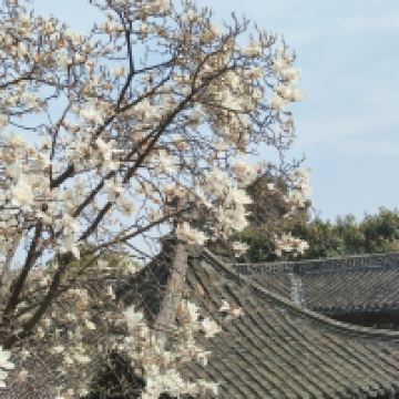 評論圖片 7