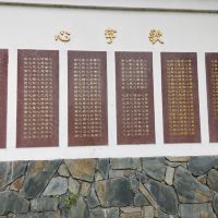 評論圖片 8