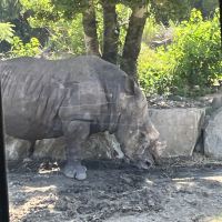評論圖片 3