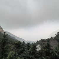 評論圖片 5