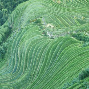評論圖片 4