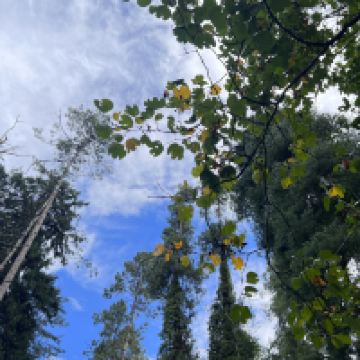 評論圖片 4
