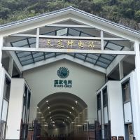 評論圖片 5