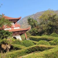 評論圖片 4