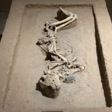 評論圖片 5