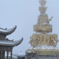 評論圖片 1