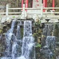 評論圖片 2