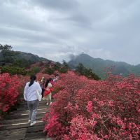 評論圖片 6