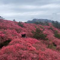 評論圖片 3