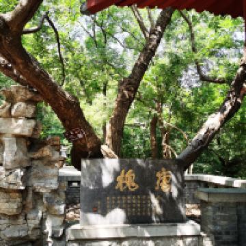 評論圖片 1