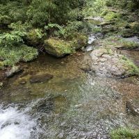 評論圖片 2