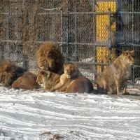 評論圖片 3