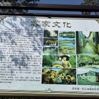 評論圖片 9