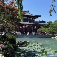 評論圖片 3