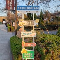 評論圖片 6