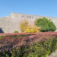 評論圖片 9