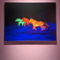評論圖片 3