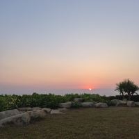 評論圖片 2