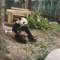 評論圖片 3
