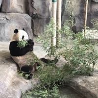 評論圖片 1