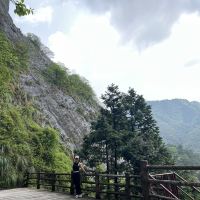 評論圖片 3