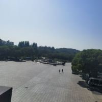 評論圖片 5