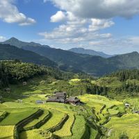 評論圖片 7