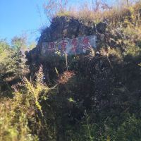 評論圖片 9