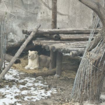 評論圖片 8