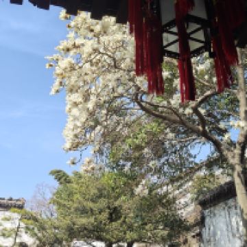 評論圖片 5