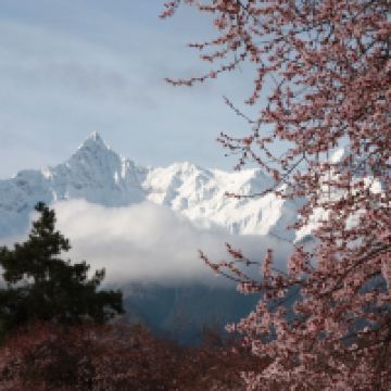評論圖片 4